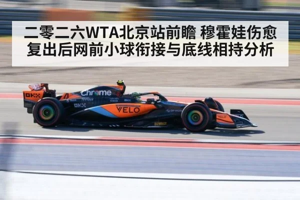 二零二六WTA北京站前瞻 穆霍娃伤愈复出后网前小球衔接与底线相持分析